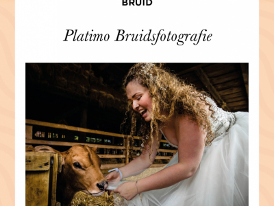 Oorkonde_Platimo-Bruidsfotografie